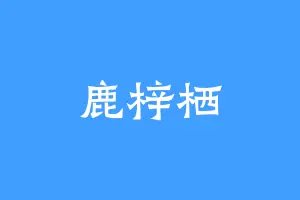 鹿梓栖