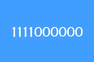 1111000000