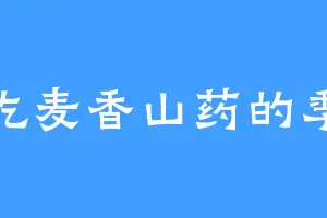 爱吃麦香山药的季兄