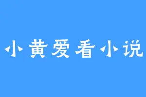 小黄爱看小说