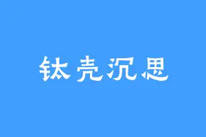 钛壳沉思