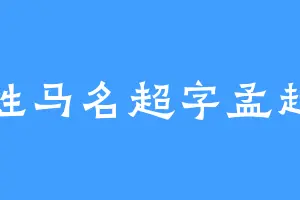 姓马名超字孟起