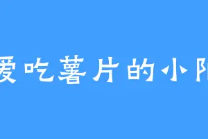 爱吃薯片的小阳
