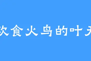 喜欢食火鸟的叶天宁
