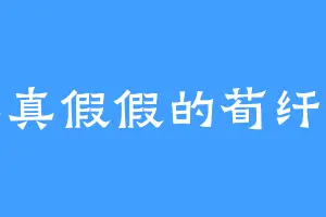 真真假假的荀纤纤