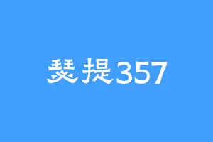 瑟提357