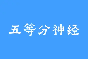 五等分神经
