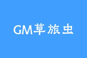 GM草旅虫
