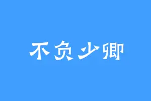 不负少卿