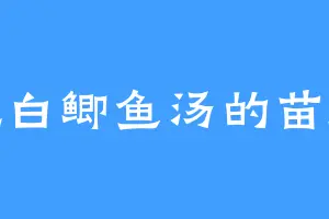 爱吃白鲫鱼汤的苗师兄