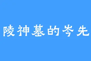 仙陵神墓的岑先生