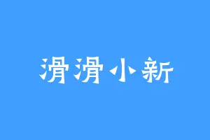 滑滑小新