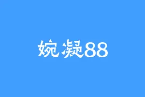 婉凝88