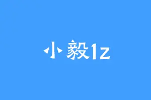 小毅1z