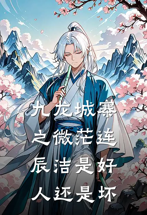 九龙城寨之微茫连辰洁是好人还是坏