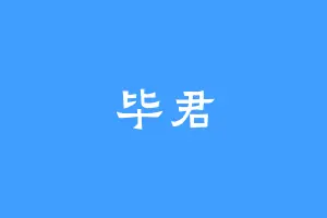 毕君