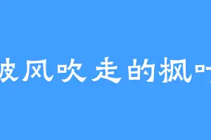 被风吹走的枫叶